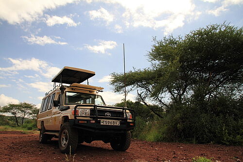 Gruppensafari, Privatsafari, Safari, Tansania, Lake Manyara, Jeep
